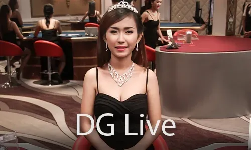 777plus Live Casino Support